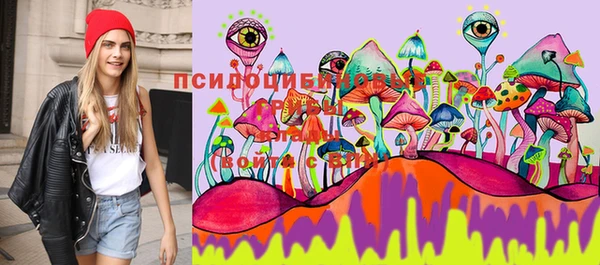кристаллы Бородино