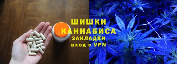 стафф Богородск