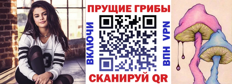 это Telegram  Устюжна  Псилоцибиновые грибы ЛСД 
